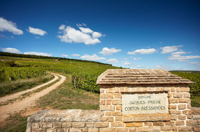 Cave Des Pinot Noir Jacques Prieur